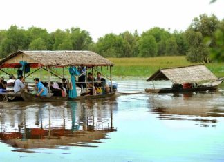 Khám phá vẻ đẹp thiên nhiên tại Vườn quốc gia Tràm Chim - Đồng Tháp